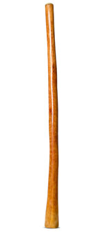 Gloss Finish Didgeridoo (TW822)